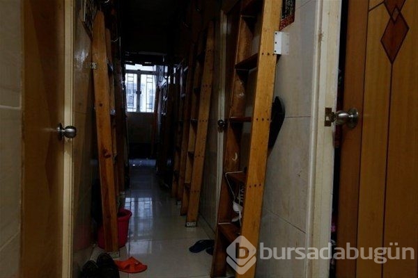 Bakın nerede yaşıyorlar!