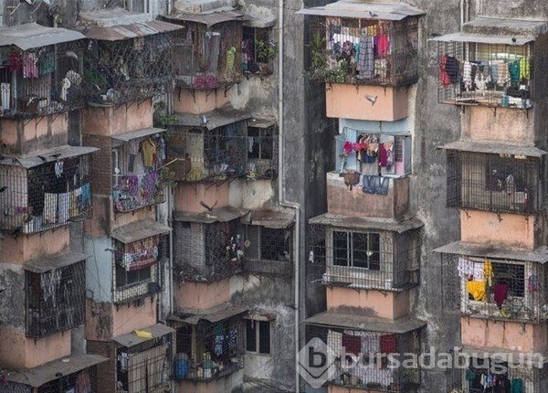 Bakın nerede yaşıyorlar!