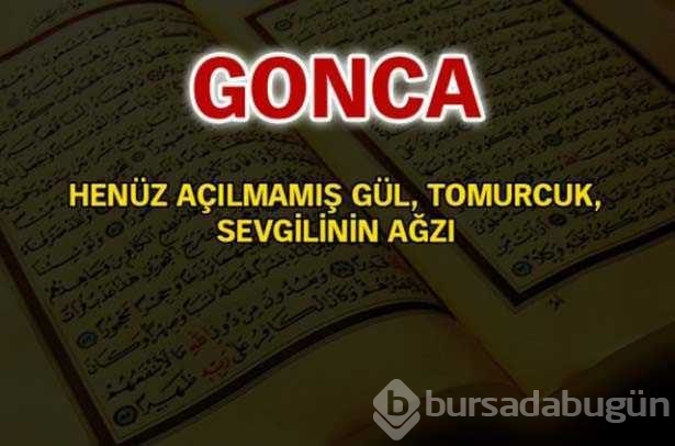 Kuran-ı Kerim'de geçen isimler ve anlamları