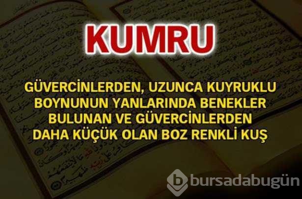 Kuran-ı Kerim'de geçen isimler ve anlamları