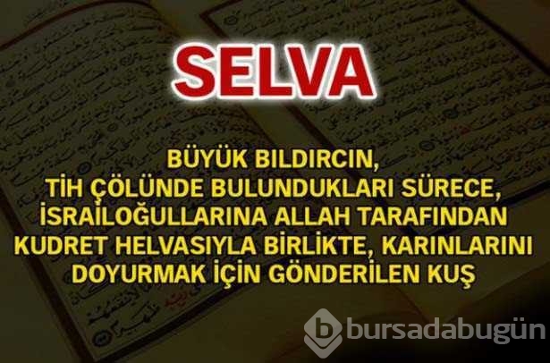 Kuran-ı Kerim'de geçen isimler ve anlamları