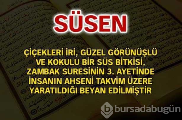 Kuran-ı Kerim'de geçen isimler ve anlamları