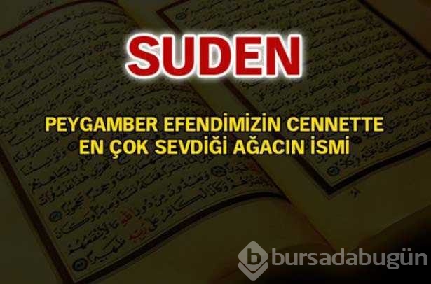 Kuran-ı Kerim'de geçen isimler ve anlamları