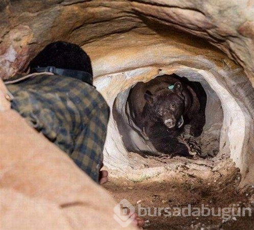 1 saniye sonrasını merak edilen kareler