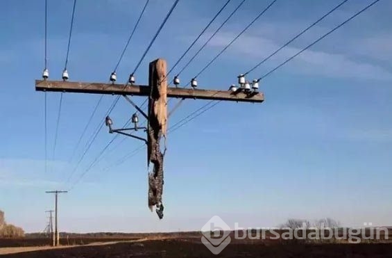 Photoshop yok, dikkatli bakın