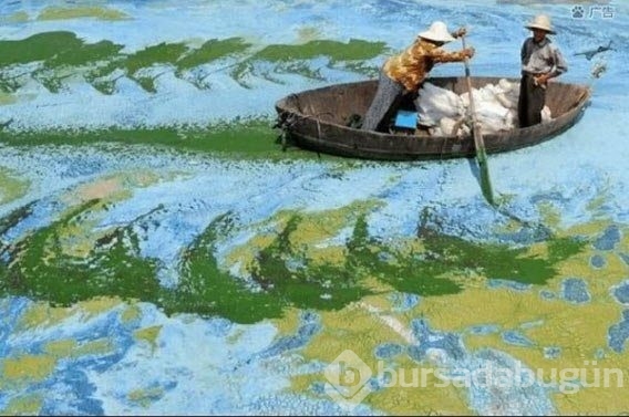 Photoshop yok, dikkatli bakın