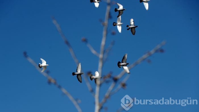 Bursa'da Gököz Göleti büyülüyor 