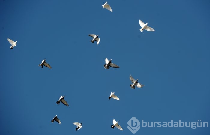 Bursa'da Gököz Göleti büyülüyor 