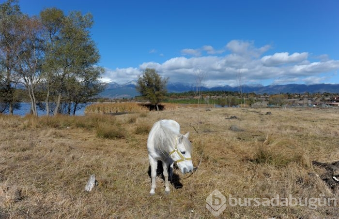 Bursa'da Gököz Göleti büyülüyor 
