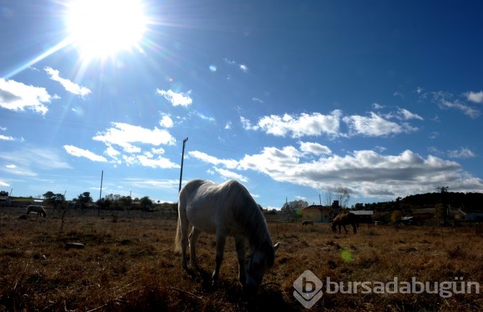 Bursa'da Gököz Göleti büyülüyor 