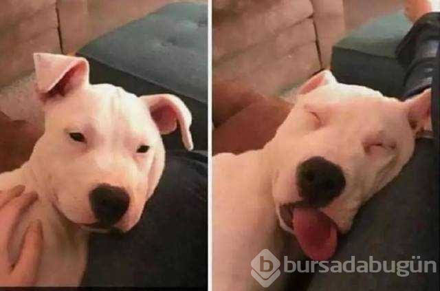 Günün en çok paylaşılan fotoğrafları