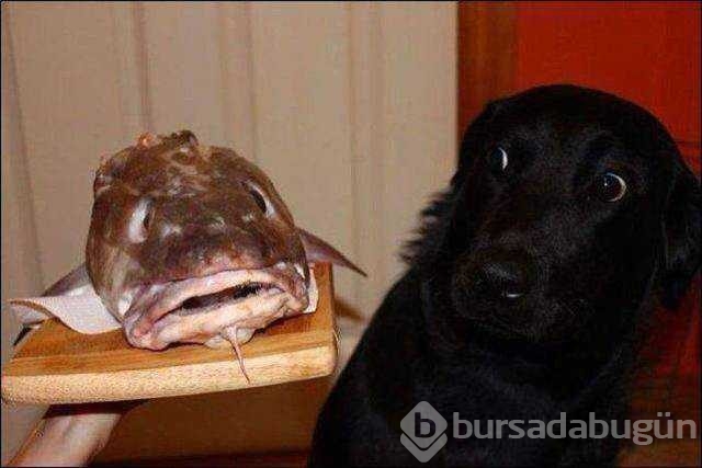 Günün en çok paylaşılan fotoğrafları