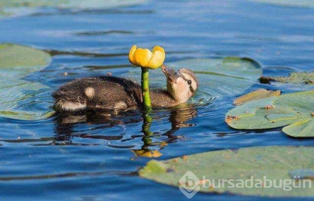Günün en çok paylaşılan fotoğrafları