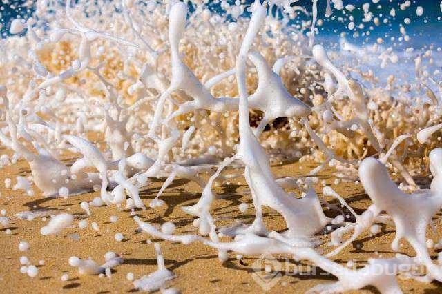 Günün en çok paylaşılan fotoğrafları