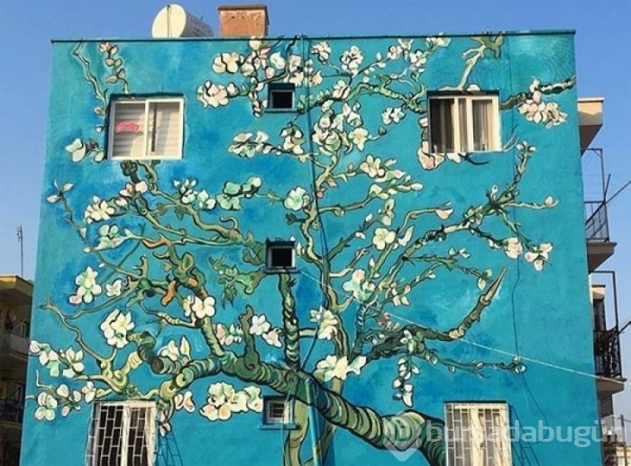Binalar grafiti ile güzelleşiyor
