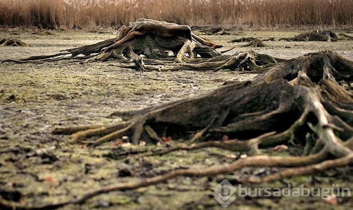 Fotoğraflardaki modelleri görebiliyor musunuz