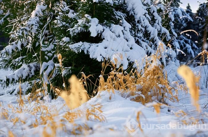 Fotoğraflardaki modelleri görebiliyor musunuz