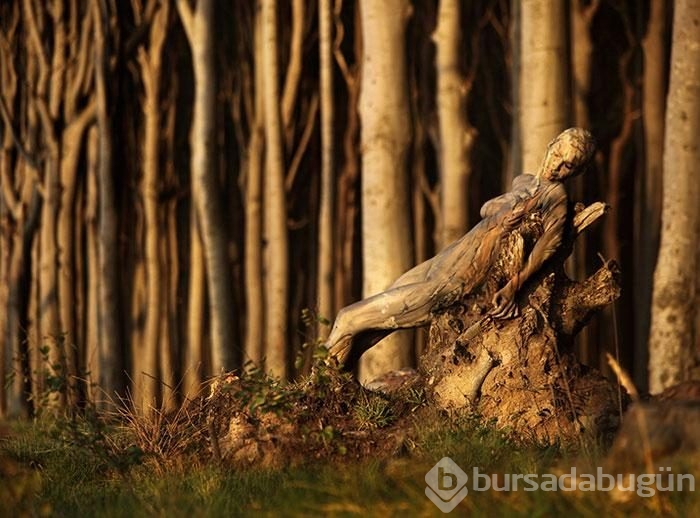 Fotoğraflardaki modelleri görebiliyor musunuz