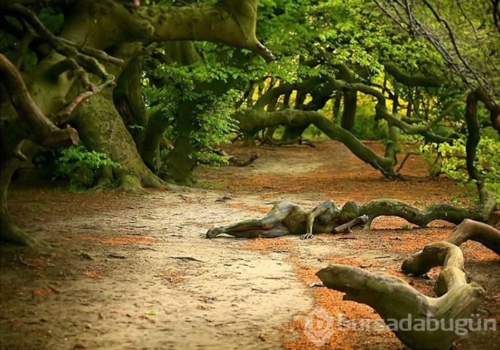 Fotoğraflardaki modelleri görebiliyor musunuz