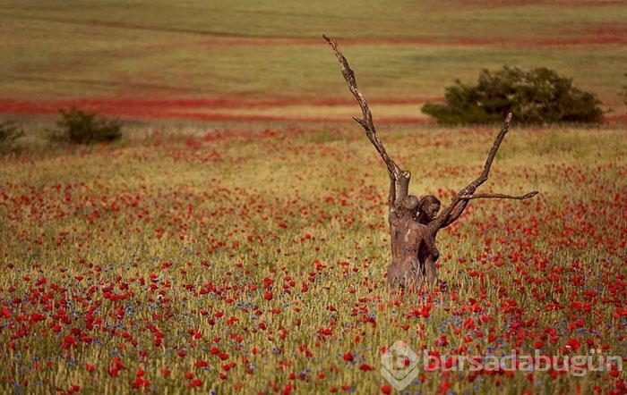 Fotoğraflardaki modelleri görebiliyor musunuz