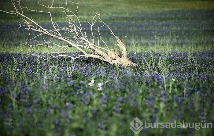 Fotoğraflardaki modelleri görebiliyor musunuz