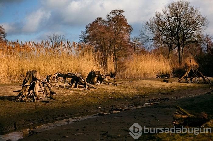 Fotoğraflardaki modelleri görebiliyor musunuz