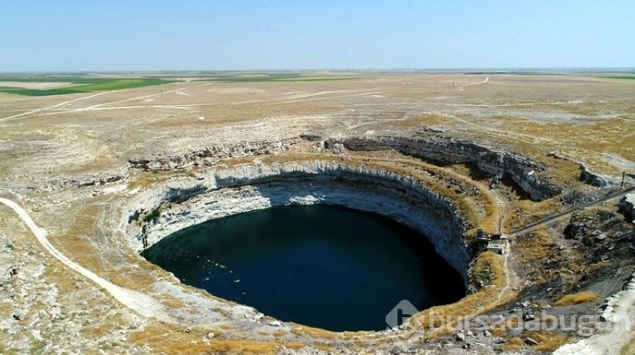 Korkutan görüntü: Sayıları artıyor!