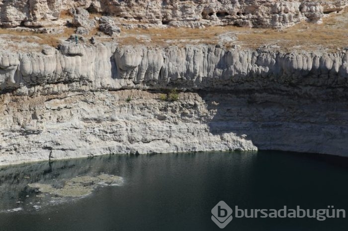 Korkutan görüntü: Sayıları artıyor!