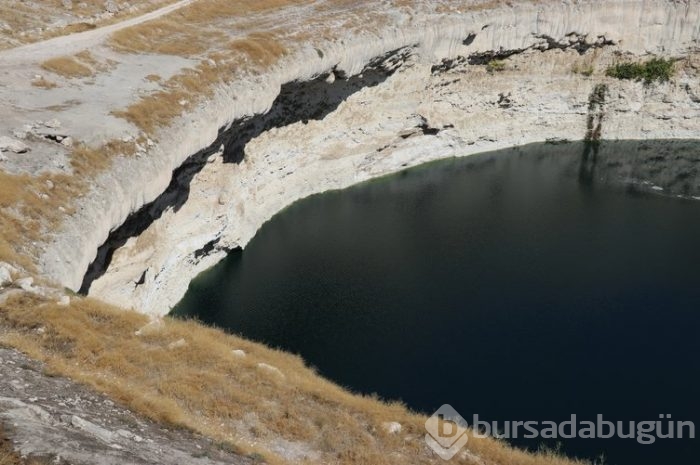 Korkutan görüntü: Sayıları artıyor!