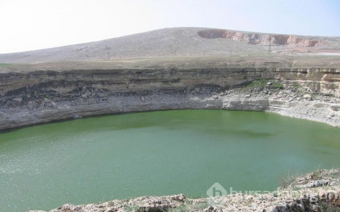 Korkutan görüntü: Sayıları artıyor!