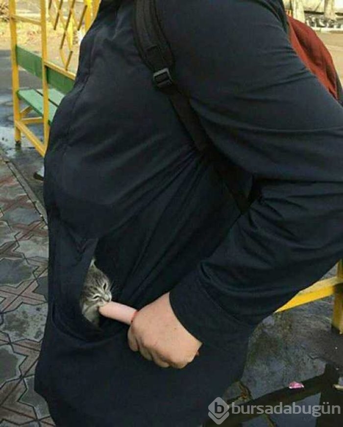Günün en çok paylaşılan fotoğrafları
