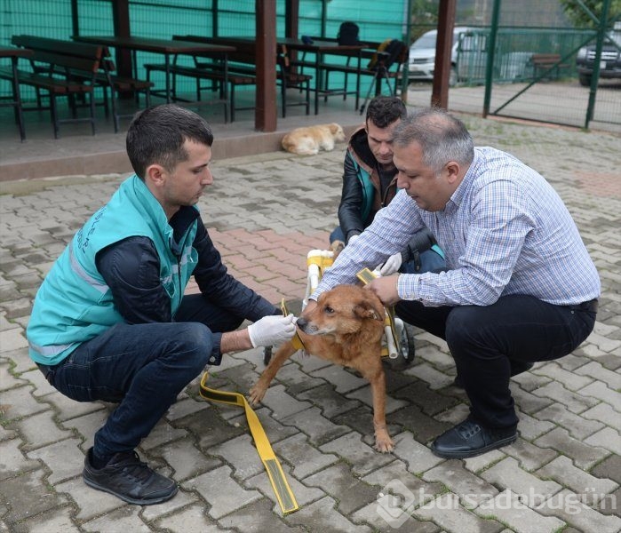 Garip, yürüteçle ayağa kalkacak