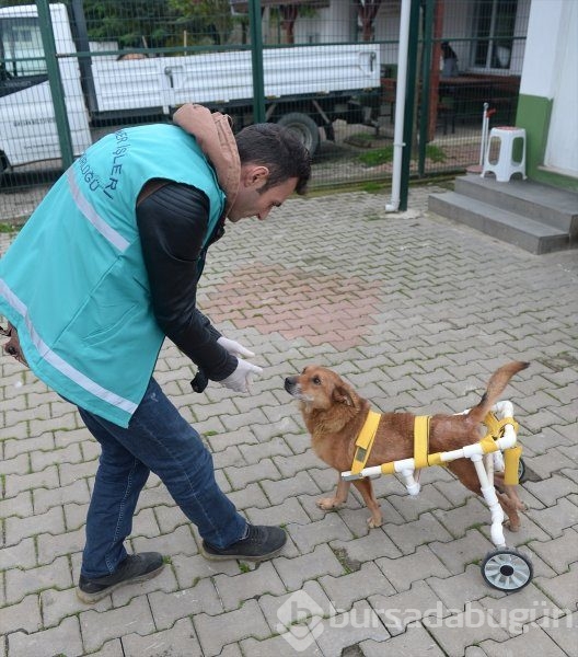 Garip, yürüteçle ayağa kalkacak