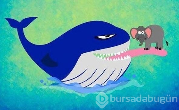 Kaportanız bu hale gelirse hemen!