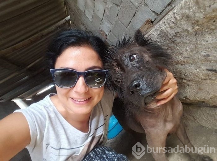 Ölmek üzereyken bulmuştu