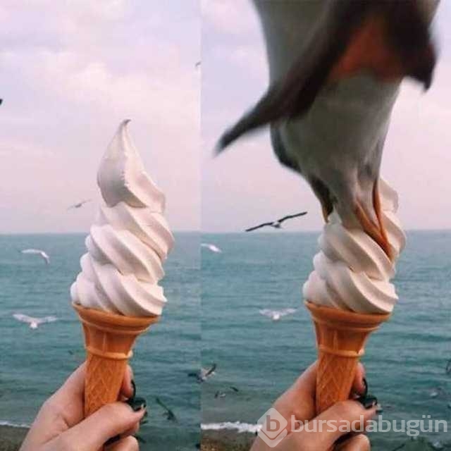 Günün en çok paylaşılan fotoğrafları