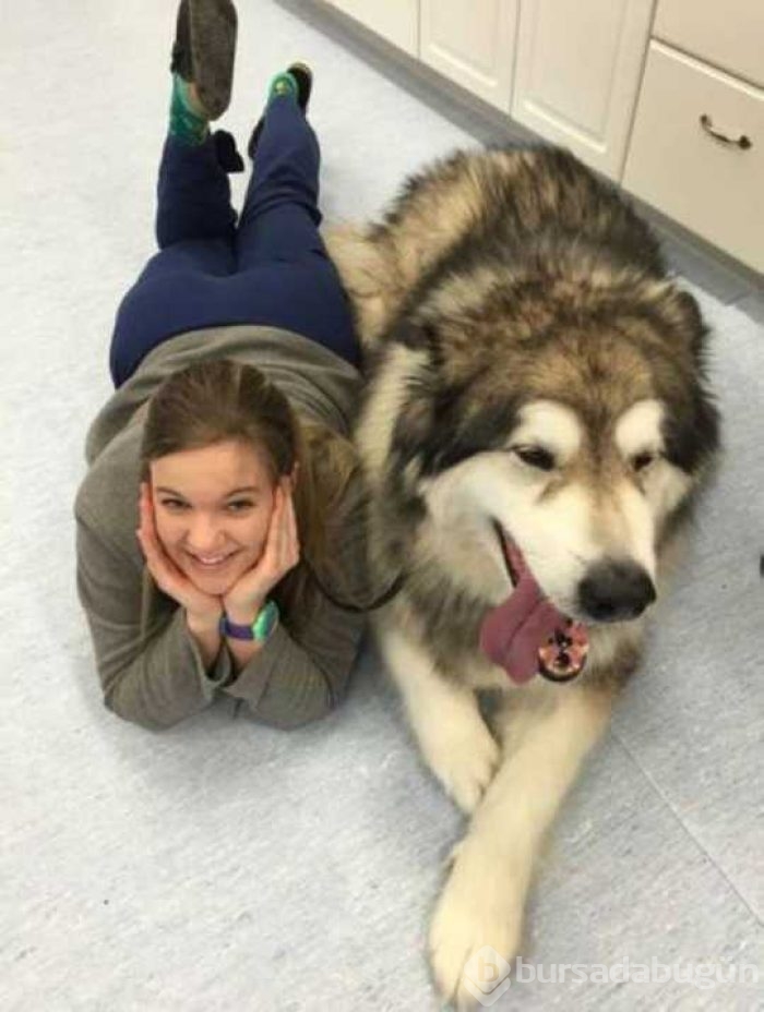 Günün en çok paylaşılan fotoğrafları