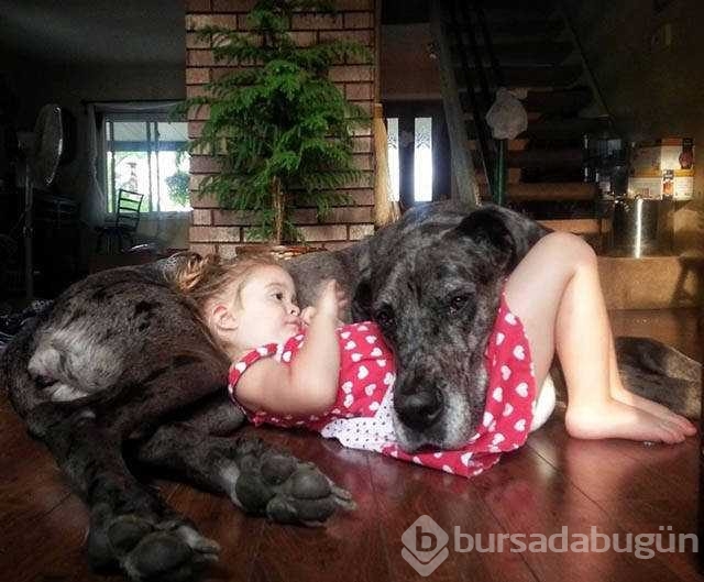 Günün en çok paylaşılan fotoğrafları