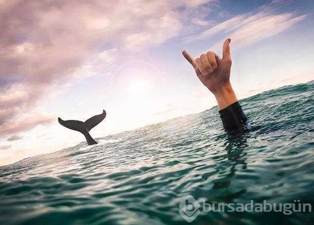 Günün en çok paylaşılan fotoğrafları