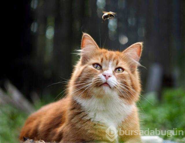 Günün en çok paylaşılan fotoğrafları