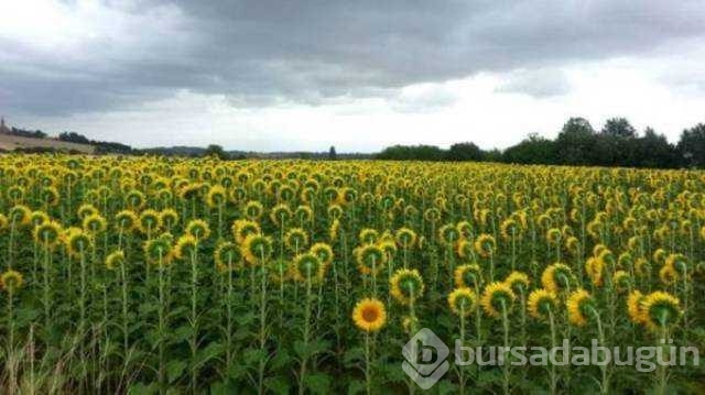 Günün en çok paylaşılan fotoğrafları