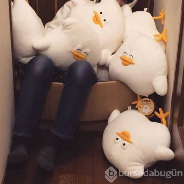 Günün en çok paylaşılan fotoğrafları