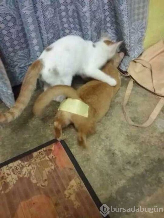 Günün en çok paylaşılan fotoğrafları