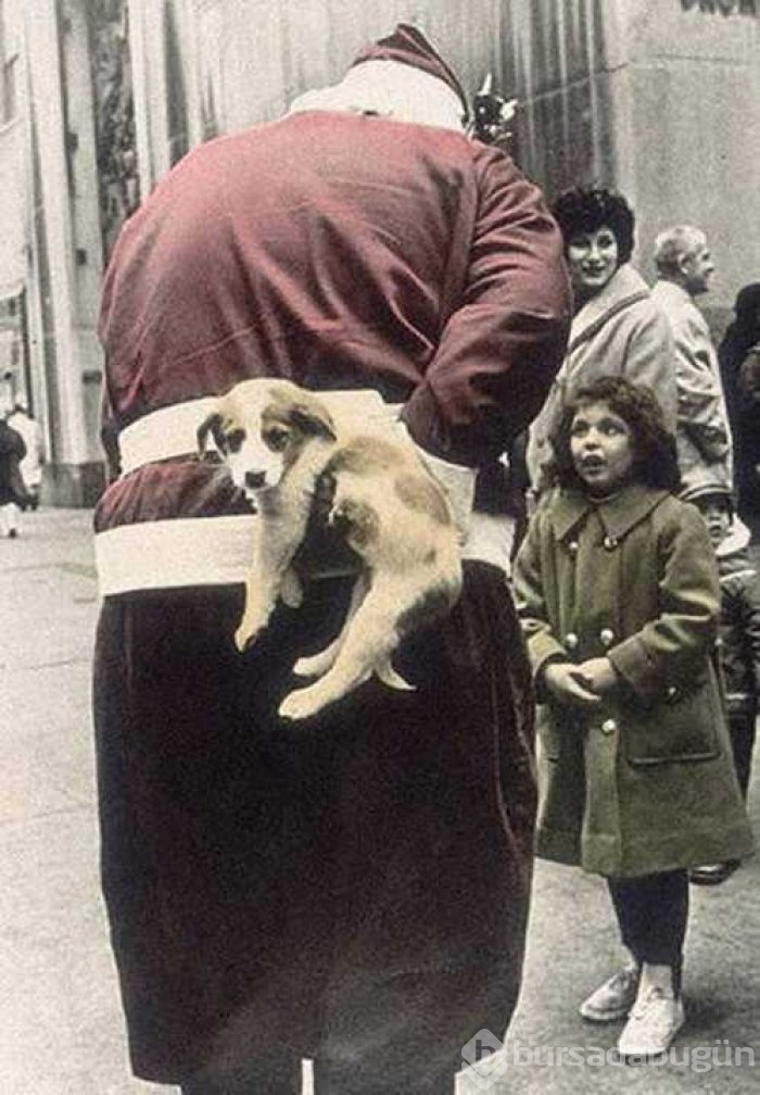 Günün en çok paylaşılan fotoğrafları