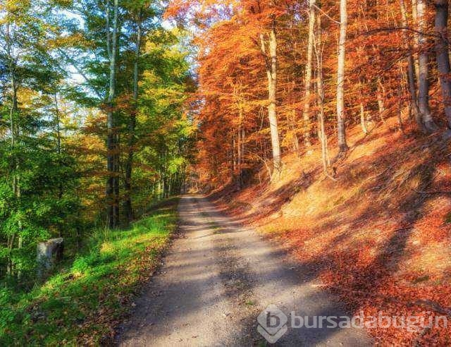 Günün en çok paylaşılan fotoğrafları