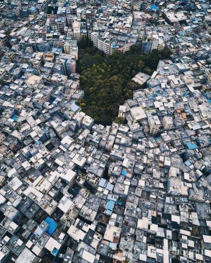 Günün en çok paylaşılan fotoğrafları