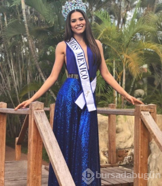 Miss World 2017 adayları