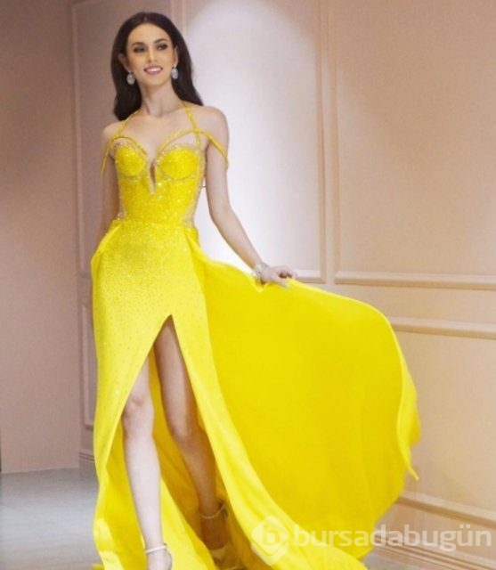 Miss World 2017 adayları