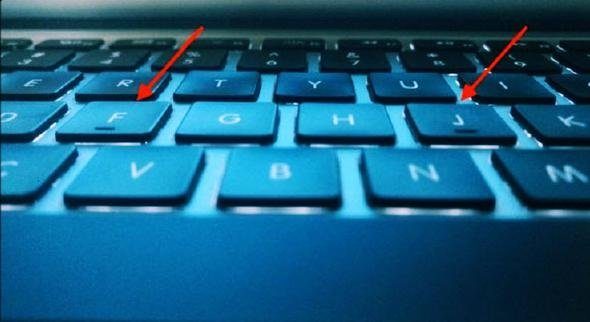 Ne işe yarıyorlar hiç düşündünüz mü?