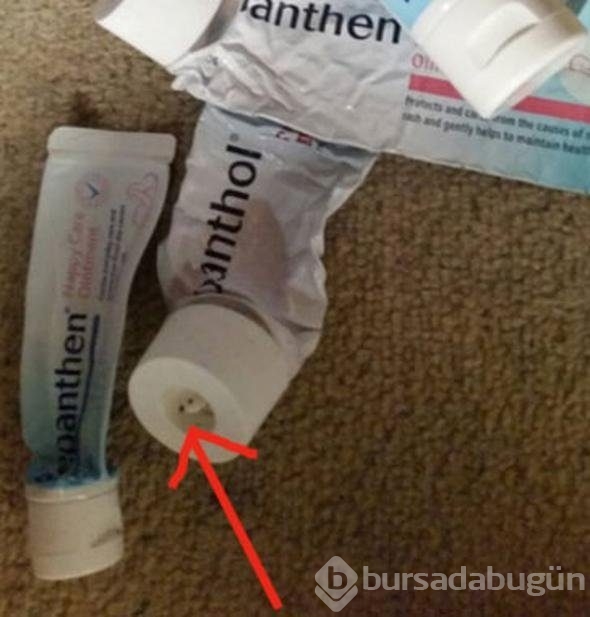 Ne işe yarıyorlar hiç düşündünüz mü?